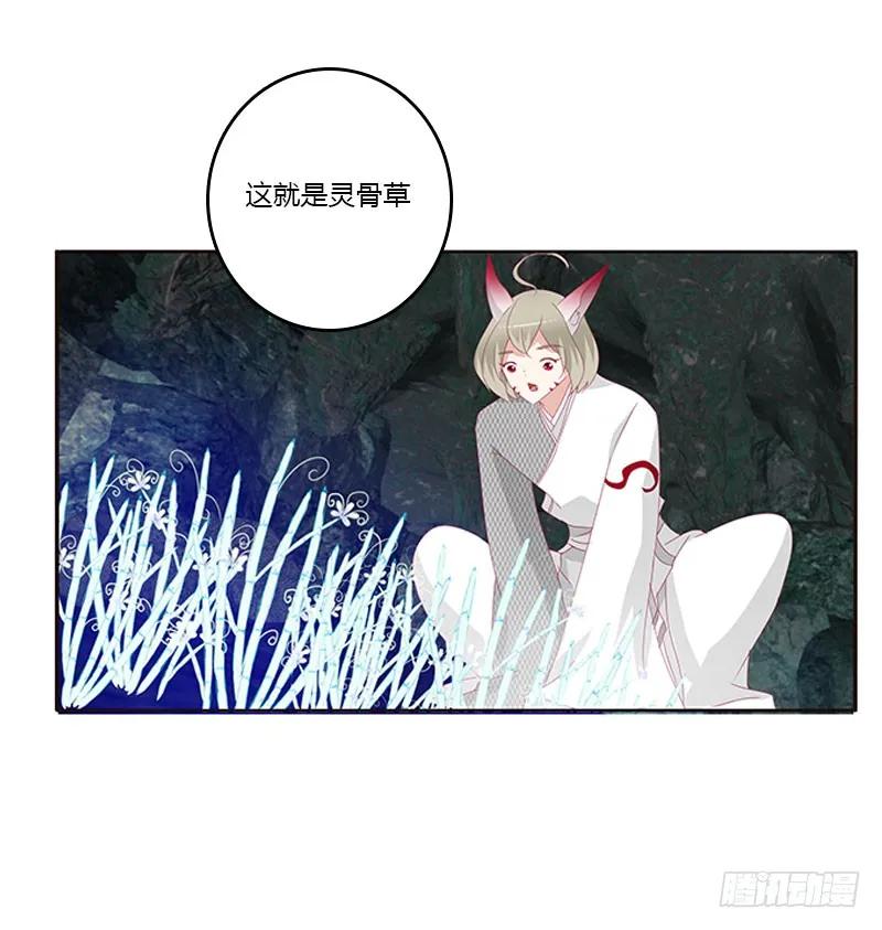 《通灵妃》灵骨草 第50页