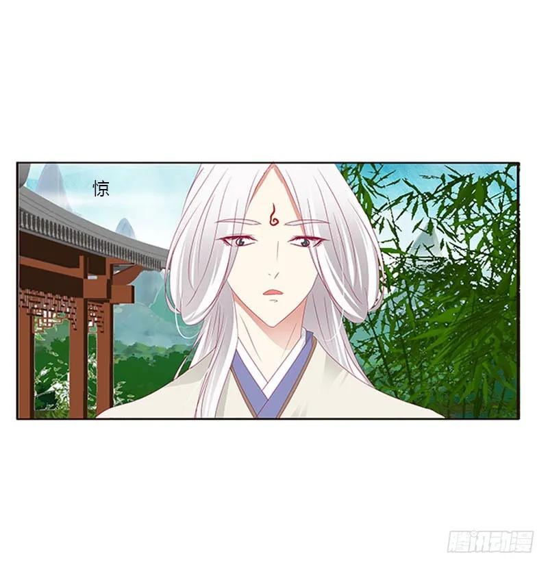 《通灵妃》魔域圣君--魁珏 第31页