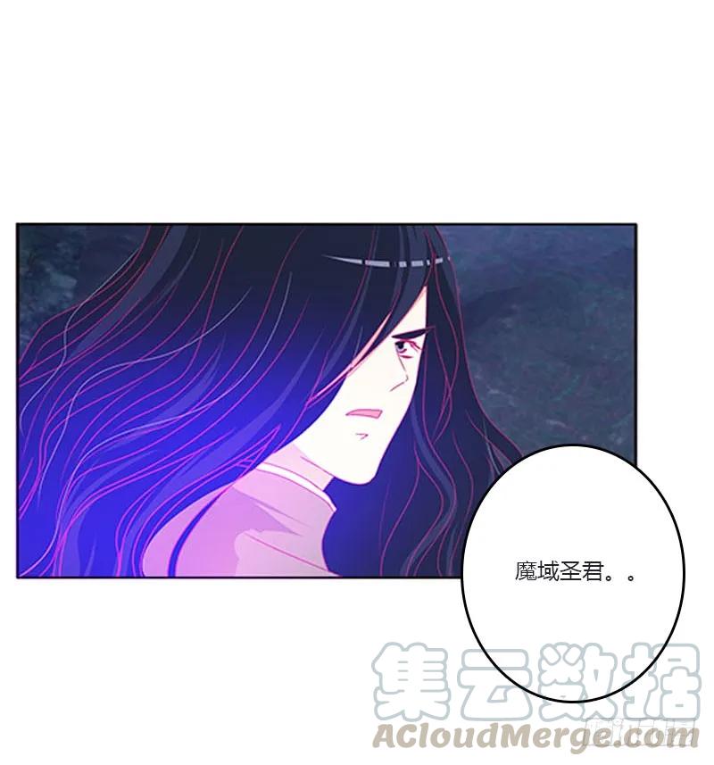 《通灵妃》魔域圣君--魁珏 第13页
