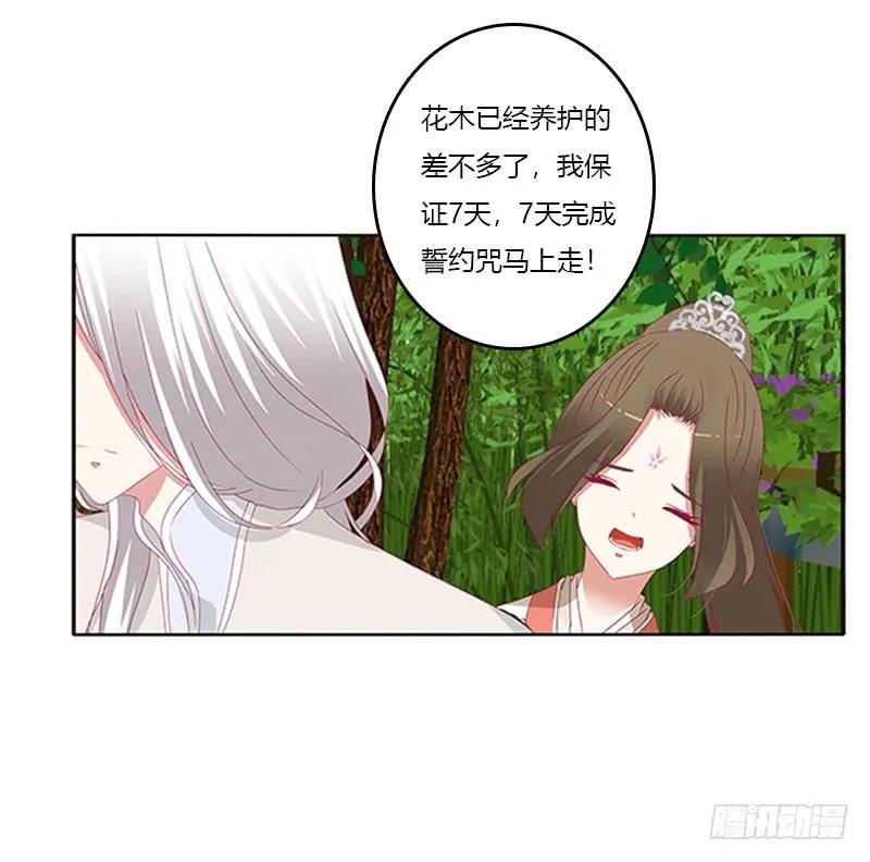 《通灵妃》本君很不爽 第42页