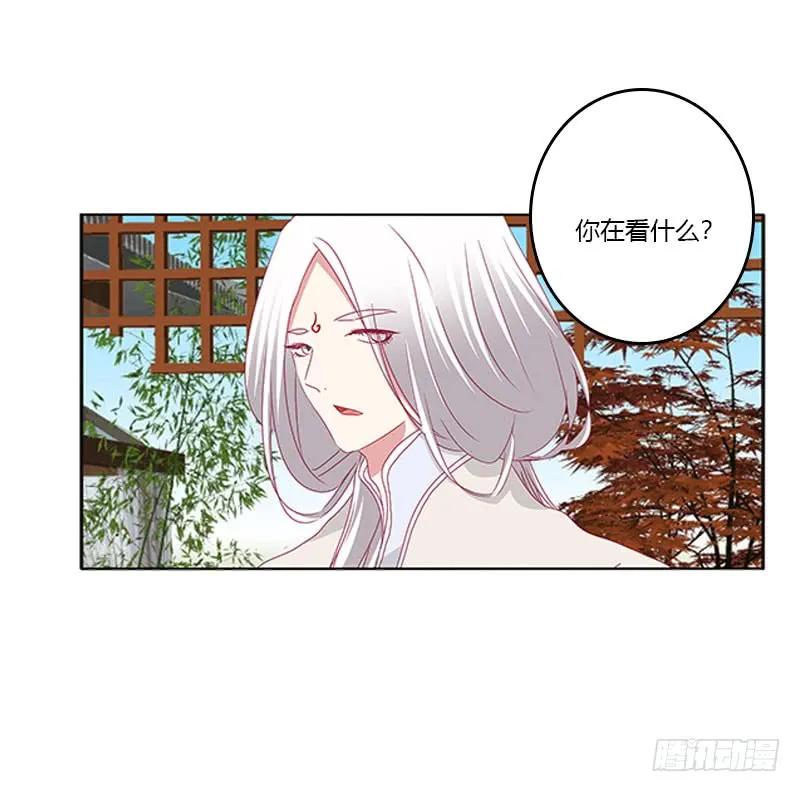 《通灵妃》本君很不爽 第11页