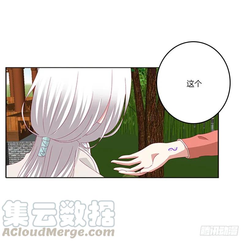 《通灵妃》本君很不爽 第37页
