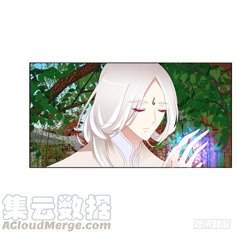 《通灵妃》本君会照顾“他” 第5页