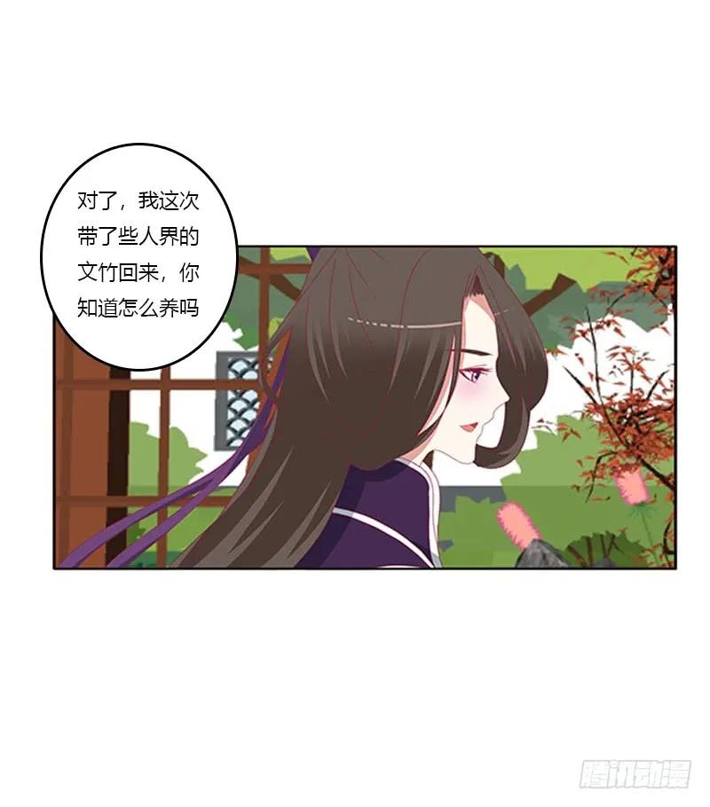《通灵妃》相见恨晚 第46页