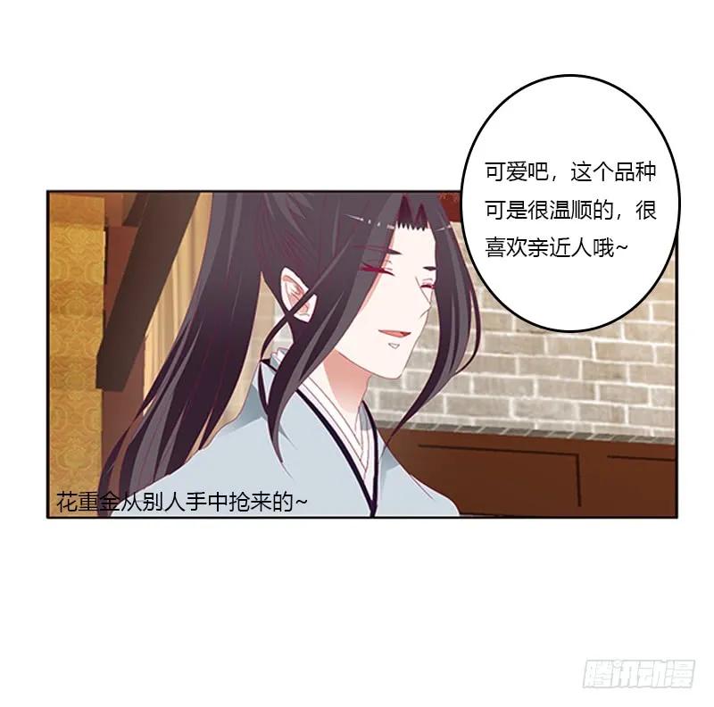 《通灵妃》玉子墨的礼物 第22页