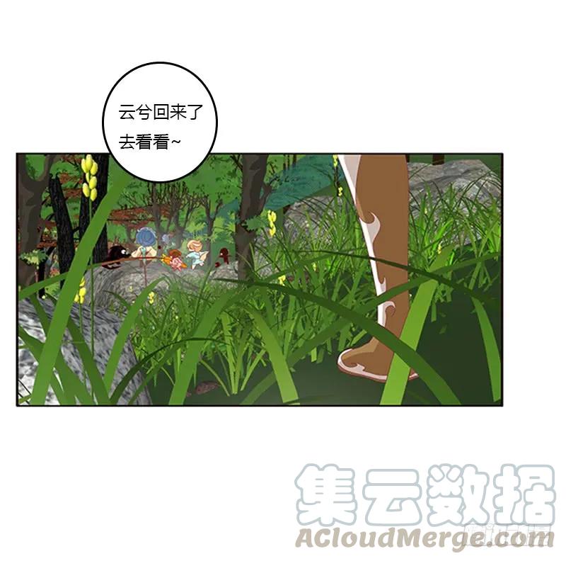 《通灵妃》云兮回来了 第13页
