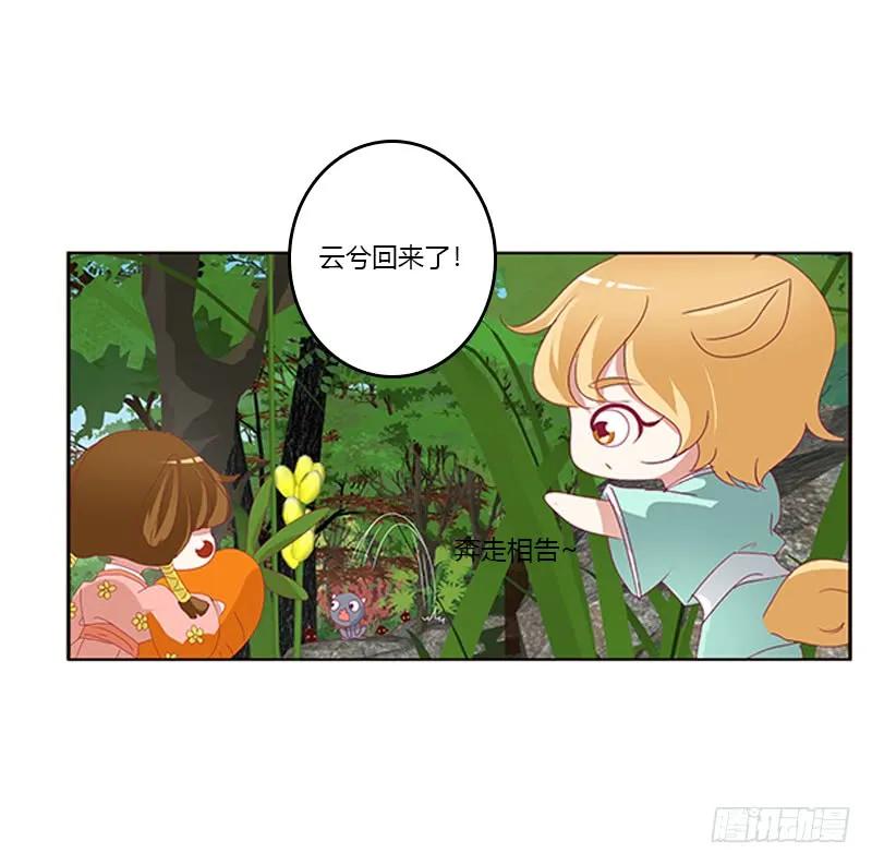 《通灵妃》云兮回来了 第11页
