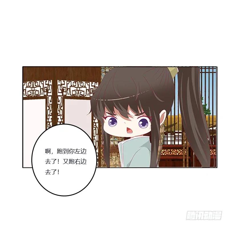 《通灵妃》肆意指婚 第14页
