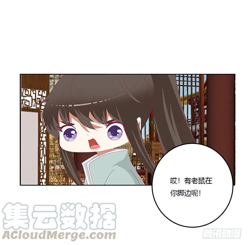 《通灵妃》肆意指婚 第12页