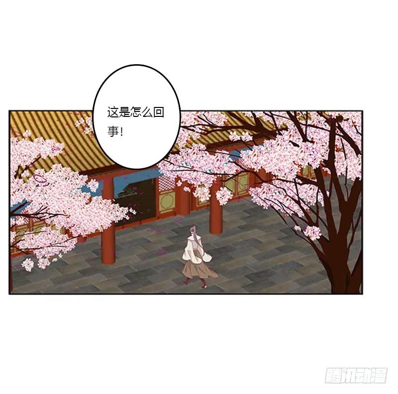 《通灵妃》她不爱你 第7页