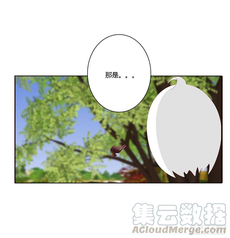 《通灵妃》臭男人！ 第45页