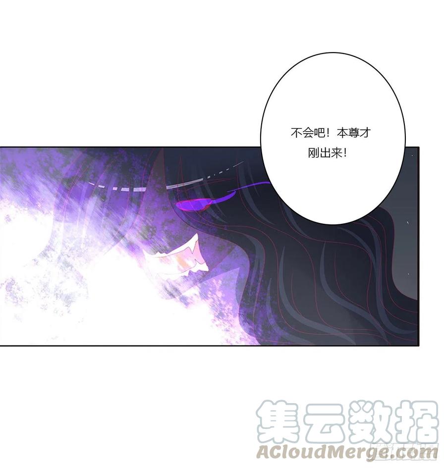 《通灵妃》圣君算账 第49页
