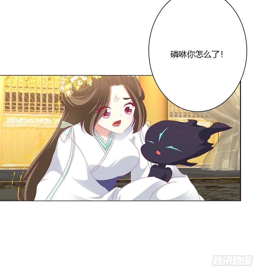 《通灵妃》你不是灵儿！ 第14页