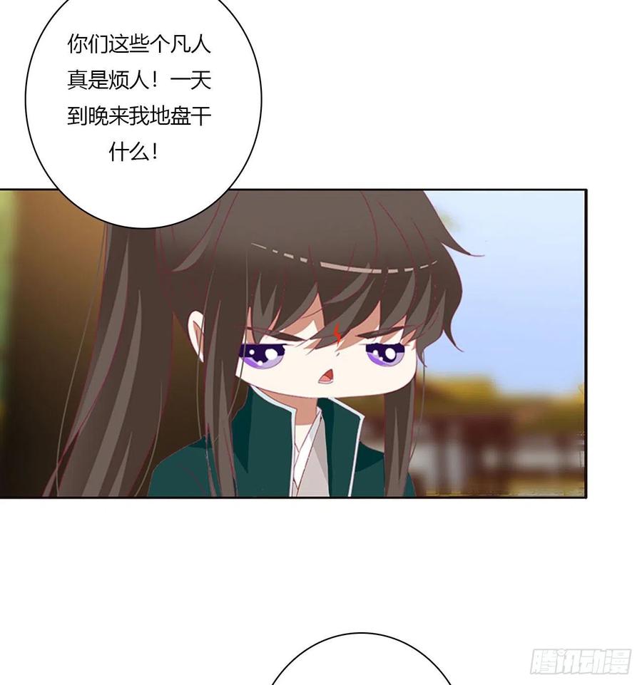 《通灵妃》喜讯 第35页