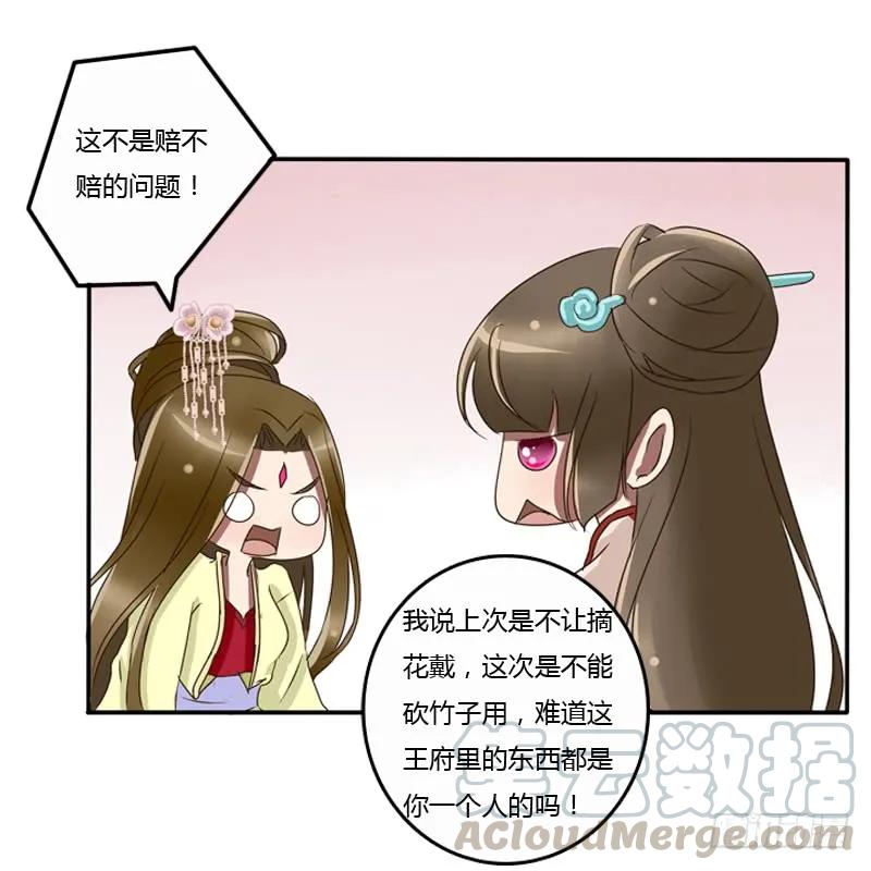 《通灵妃》王爷的眼光 第37页