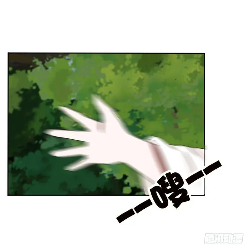 《通灵妃》树妖慕青 第4页
