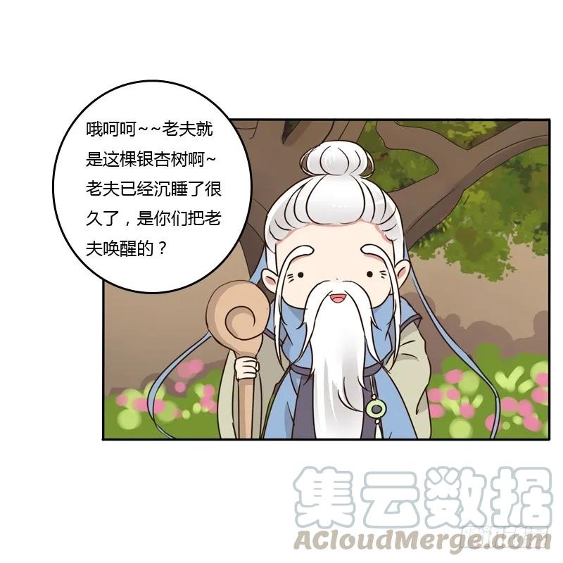 《通灵妃》臭老头？ 第32页