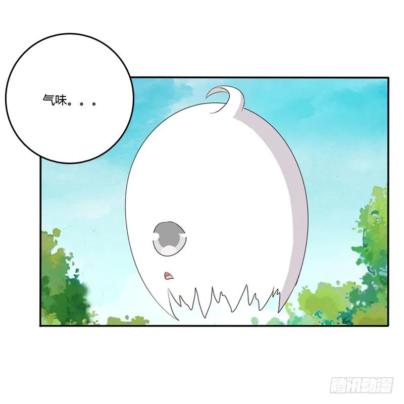《通灵妃》臭老头？ 第51页