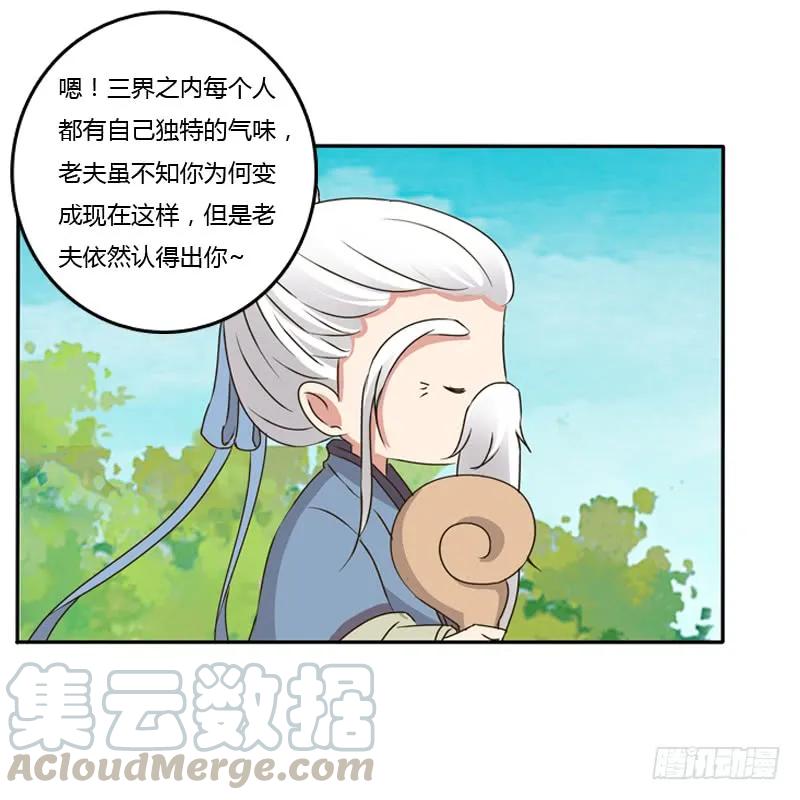《通灵妃》臭老头？ 第52页