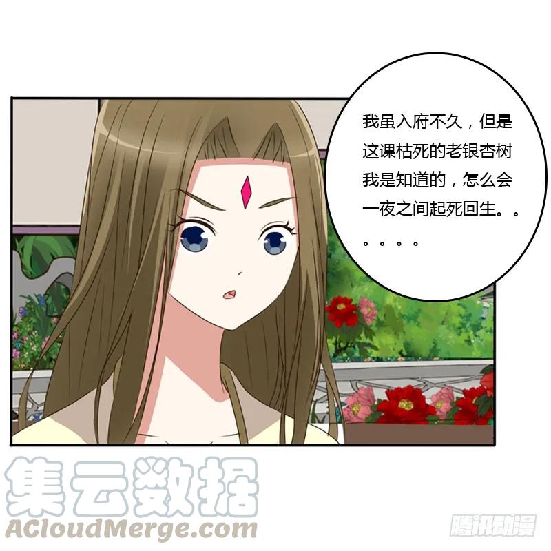 《通灵妃》忆灵云山 第17页