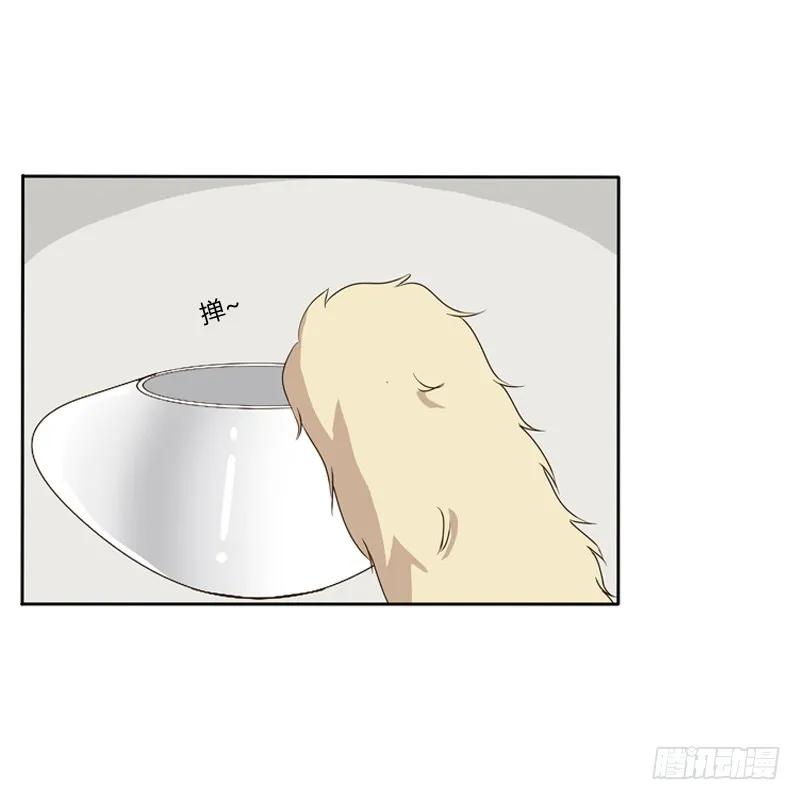 《通灵妃》师傅 第43页