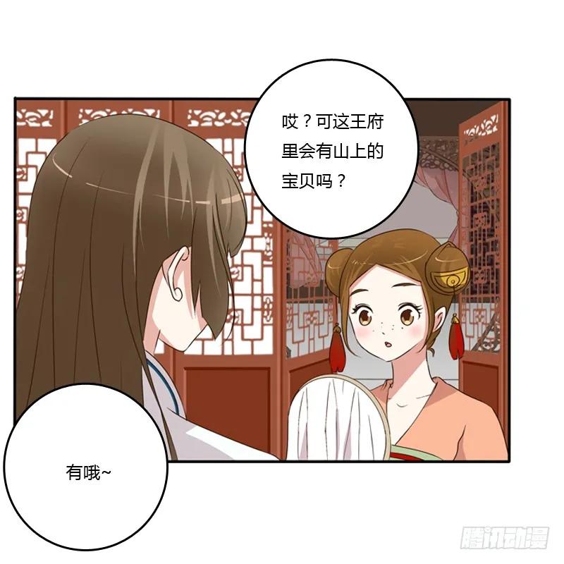 《通灵妃》找宝贝 第13页