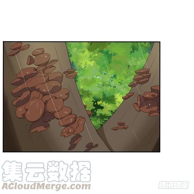 《通灵妃》找宝贝 第52页