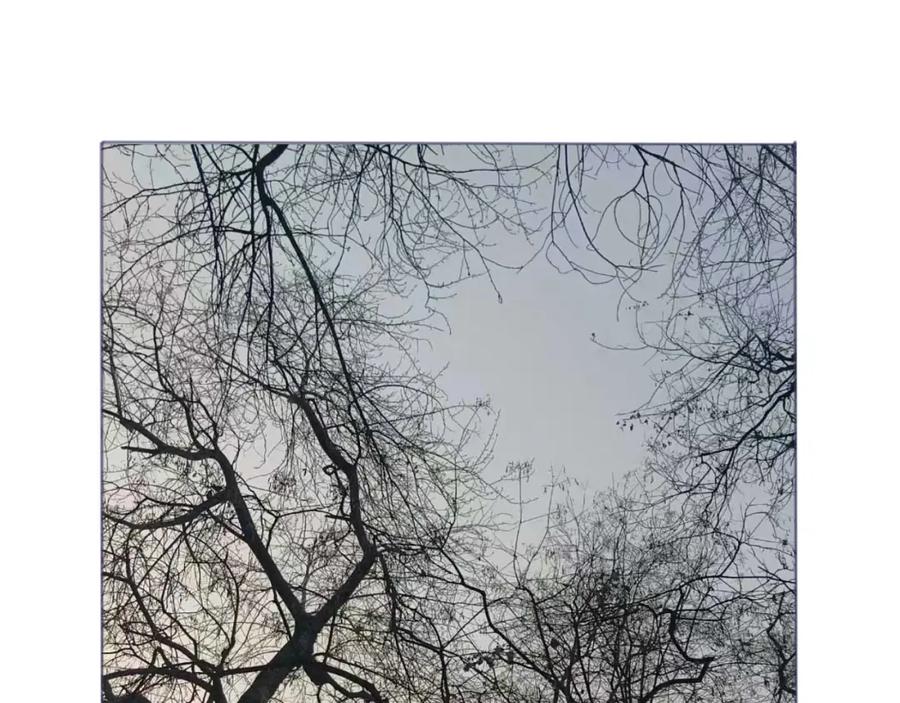 臆想 - 装b失败 - 第22张图