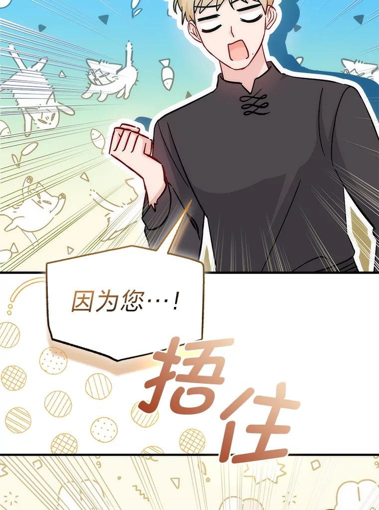 《成为短命女主的妹妹》17.不被看好的婚姻 第50页