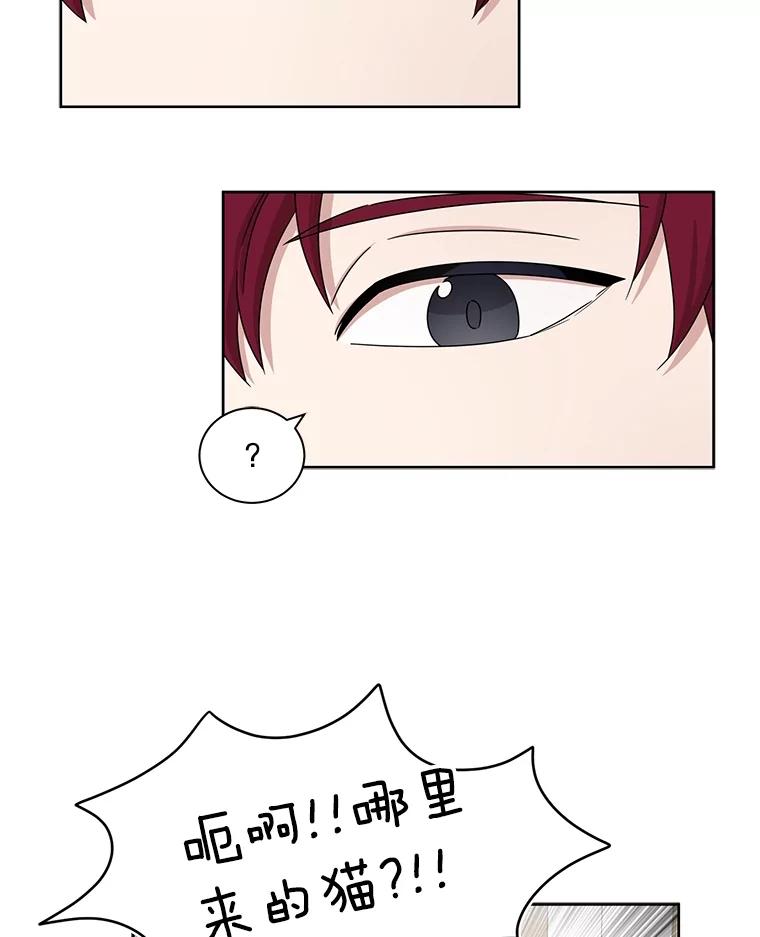 《通灵小说家》29.三人一起写作 第12页