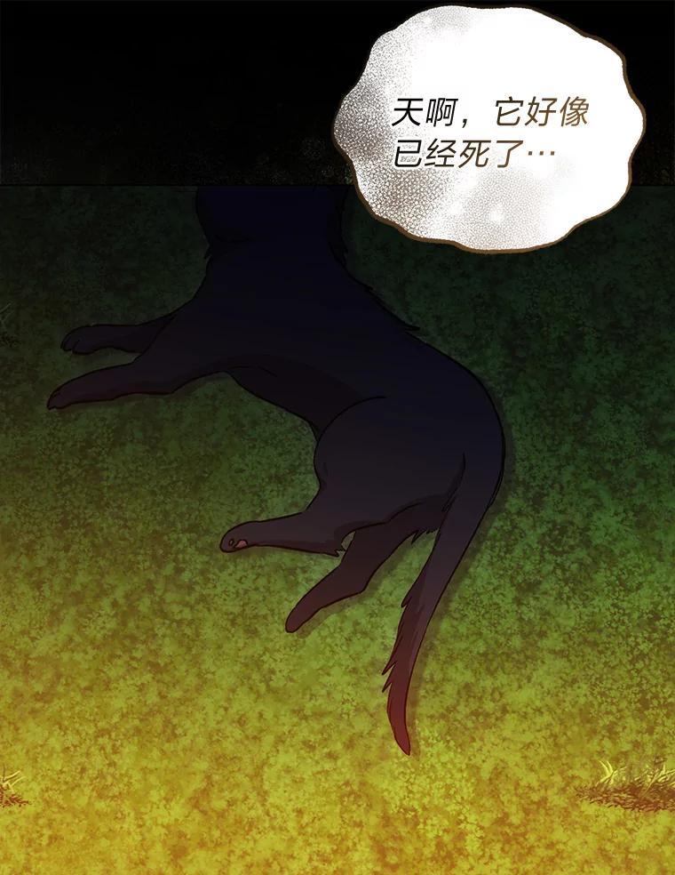 《成为短命女主的妹妹》31.三殿下的问候 第31页