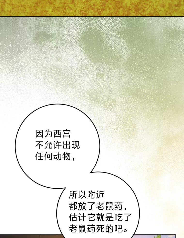 《成为短命女主的妹妹》31.三殿下的问候 第32页
