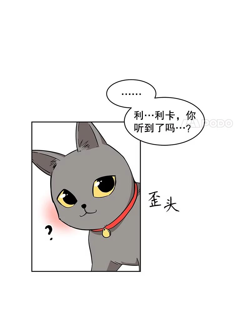 《通灵小说家》3.用笔记本写作 第57页