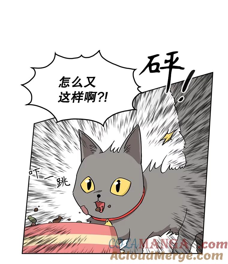 《通灵小说家》3.用笔记本写作 第37页