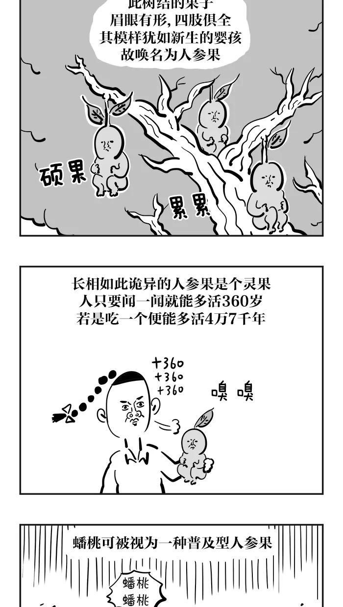 《疯狂西游记》[第75话] 五庄观的人参果 第12页