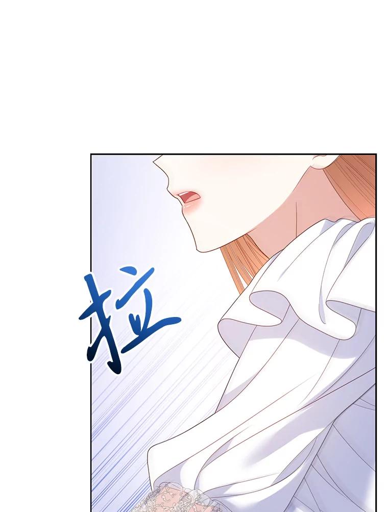 《乙女游戏中的女仆想辞职》33.前往洛温斯 第46页