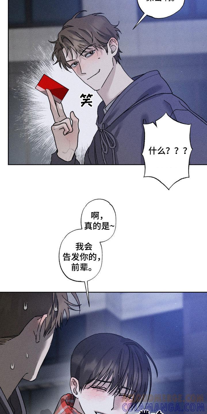 《特写爱意》第39章：不算什么 第15页