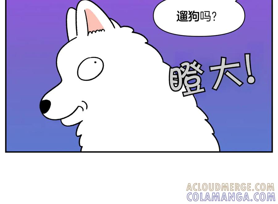 《我的狗子叫棉花》第60话 禁止单词-散步 第19页