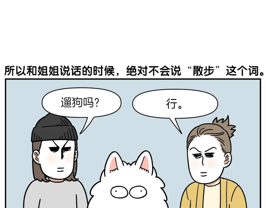 《我的狗子叫棉花》第60话 禁止单词-散步 第17页