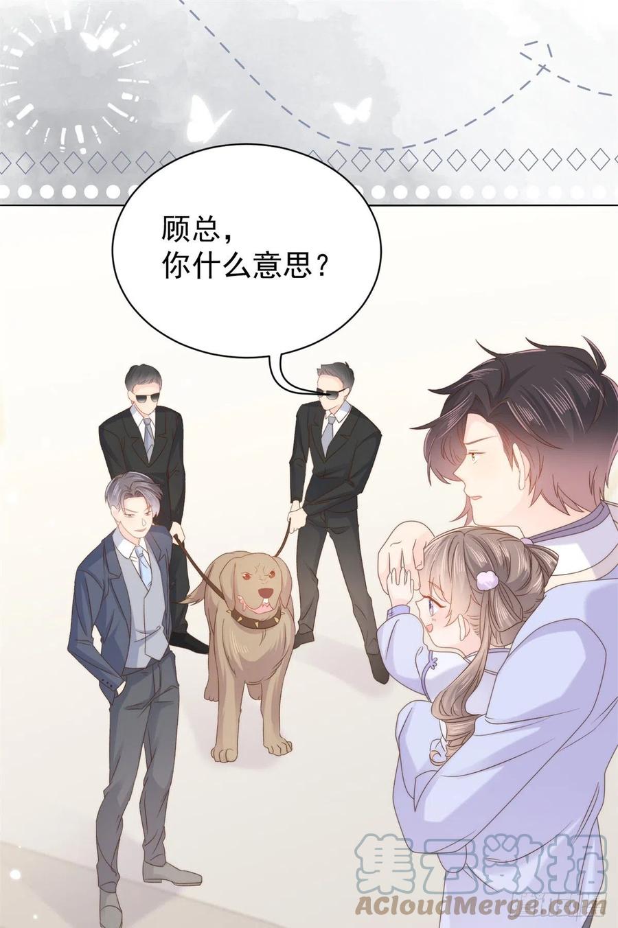 《团宠大佬三岁半》第112话 训犬小能手 第28页