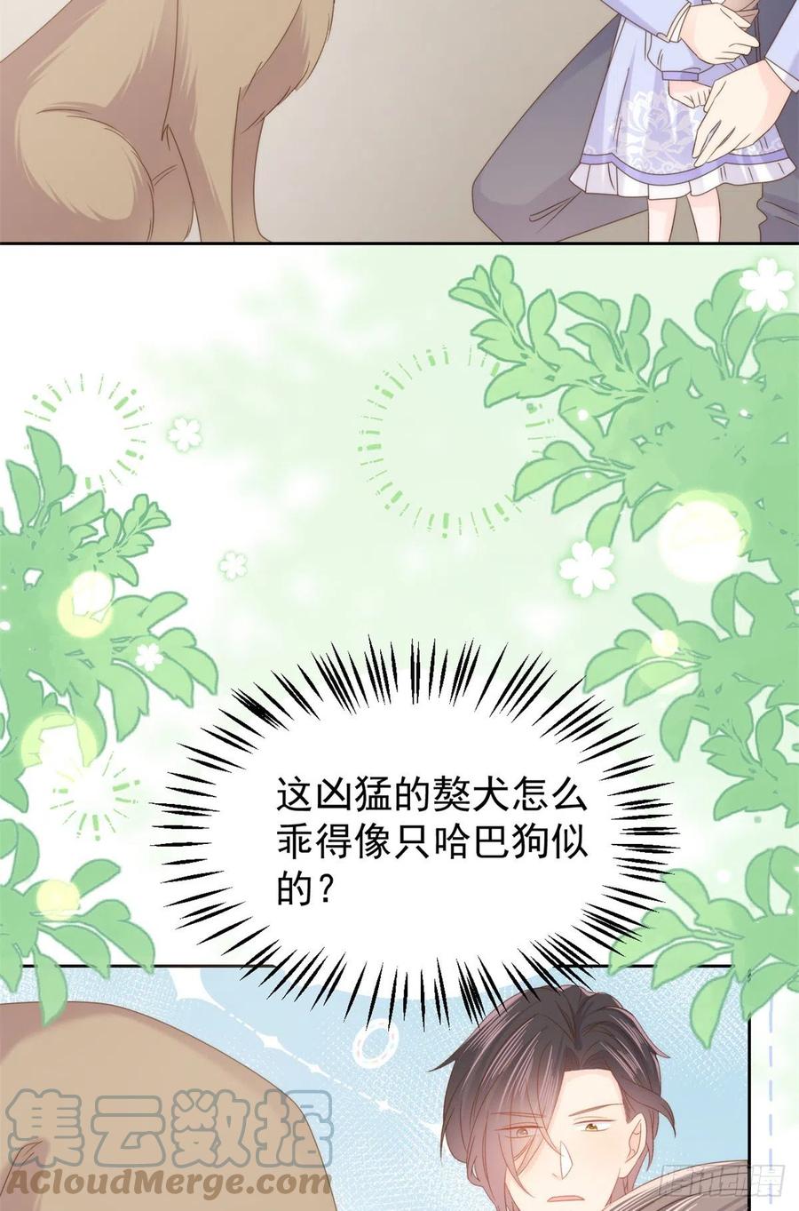 《团宠大佬三岁半》第113话 獒犬地瓜 第19页