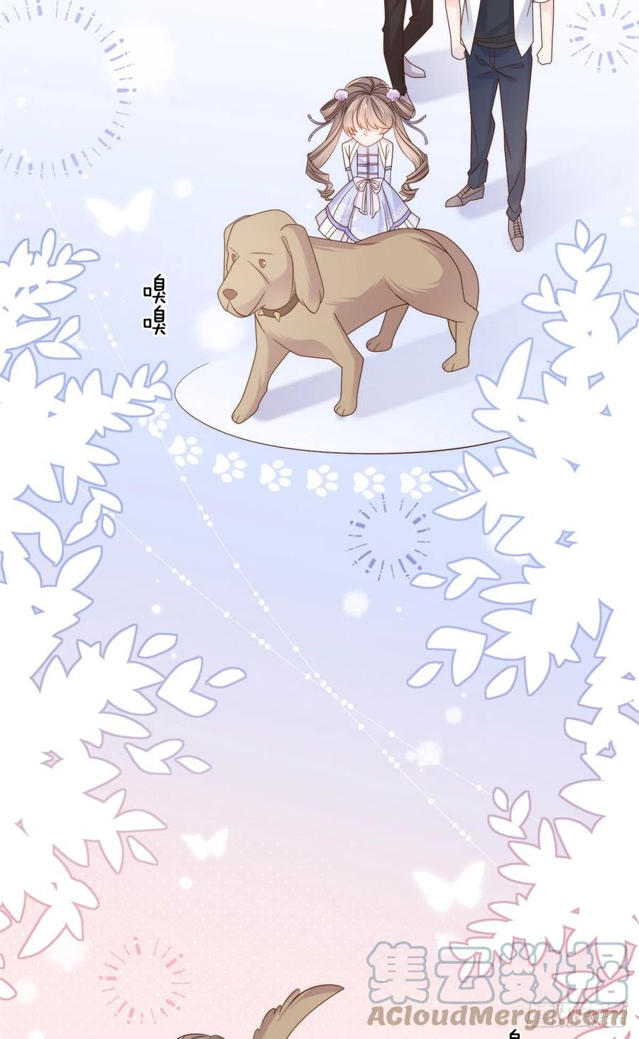《团宠大佬三岁半》第113话 獒犬地瓜 第43页