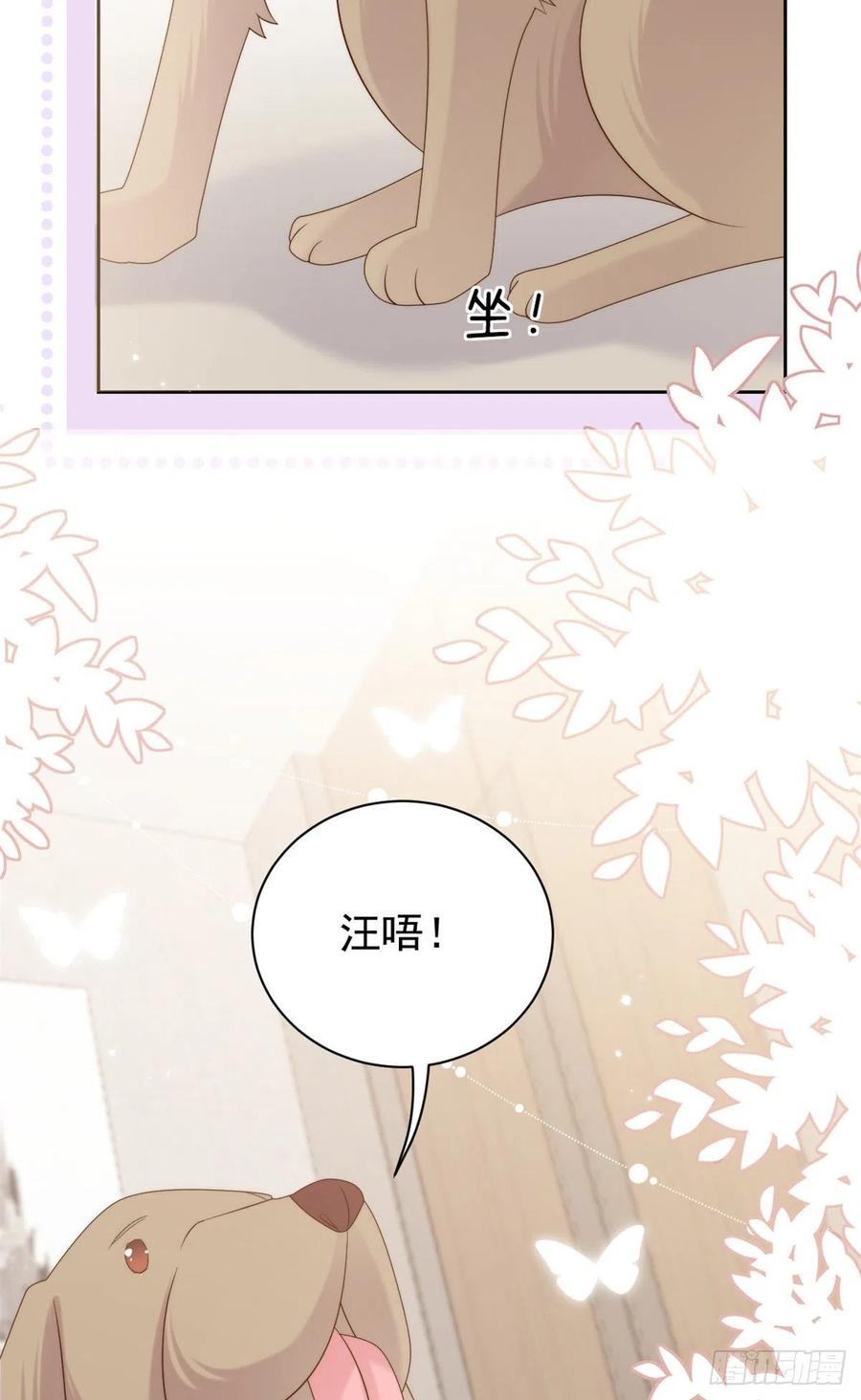 《团宠大佬三岁半》第113话 獒犬地瓜 第45页