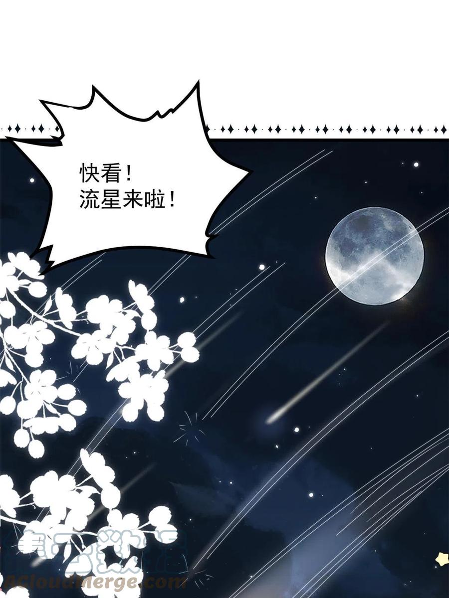 《团宠大佬三岁半》第172话 今晚的流星好忙碌啊 第40页