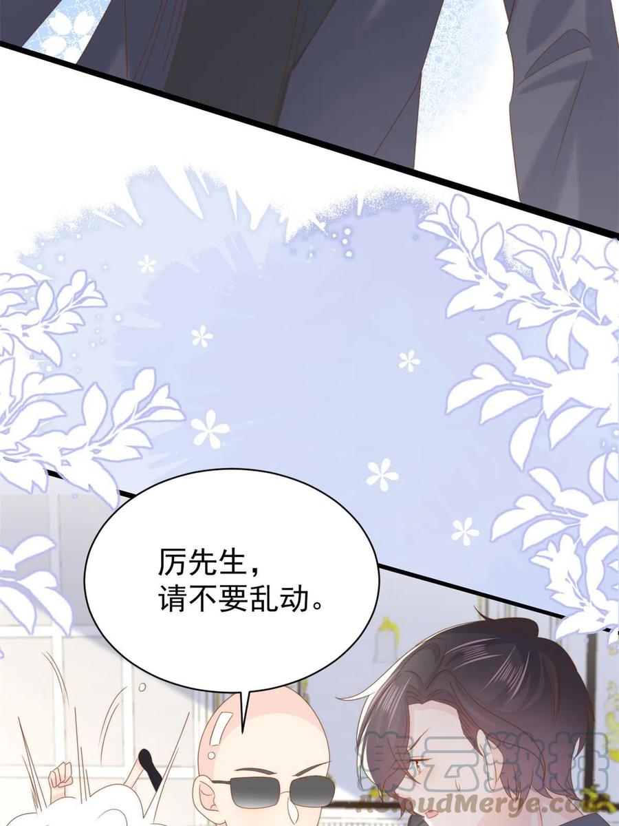《团宠大佬三岁半》第207话 盗版镇南王！ 第22页