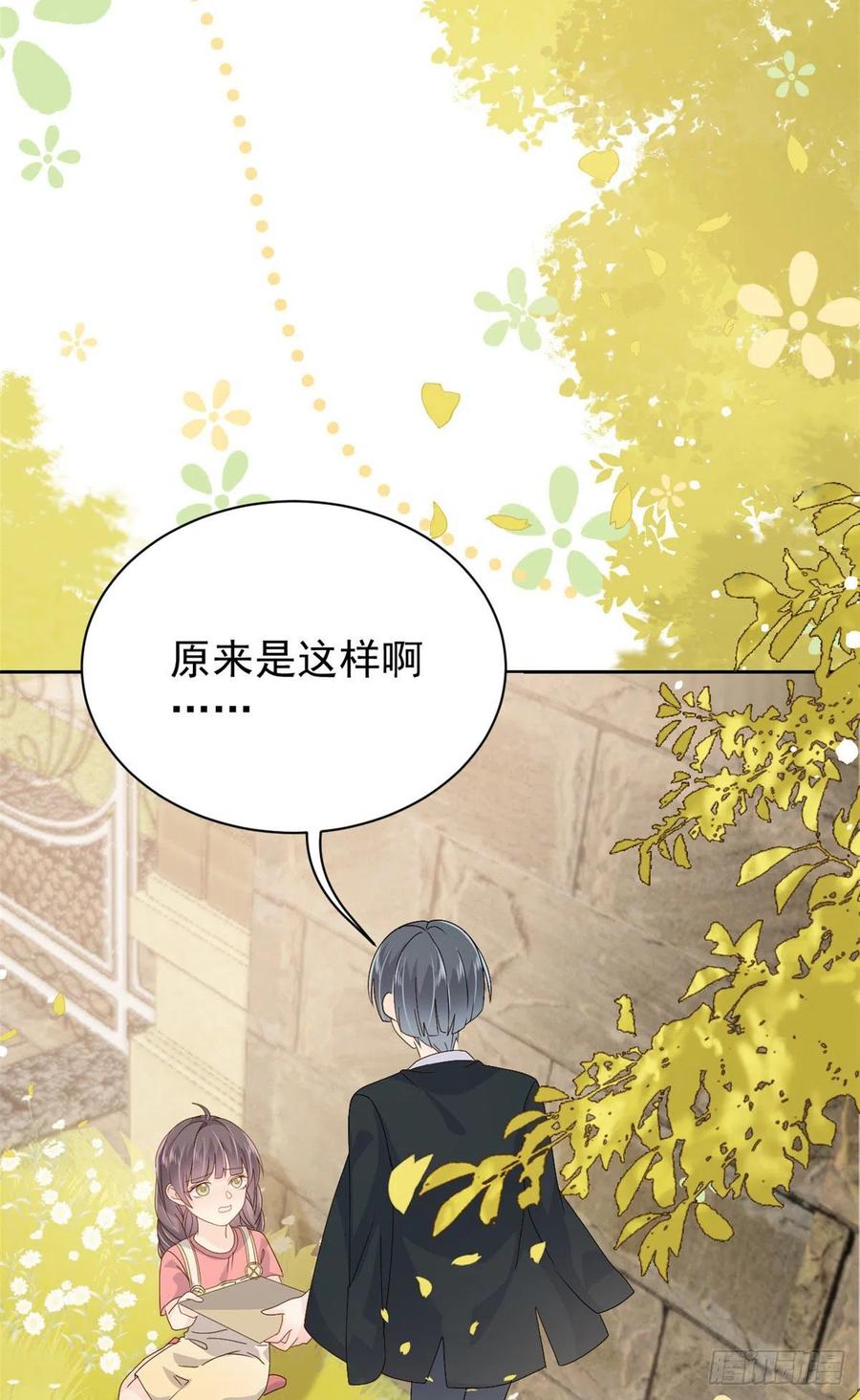《团宠大佬三岁半》第49话 偷来的设计 第33页