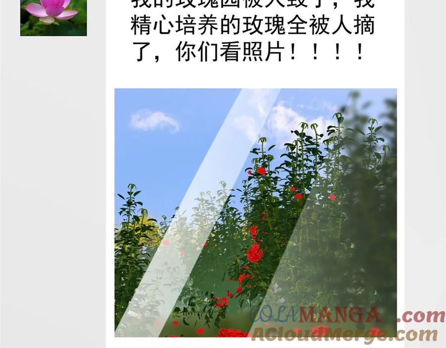 我在婚配所摇到了世界首富 209 感谢婚配所 第70页
