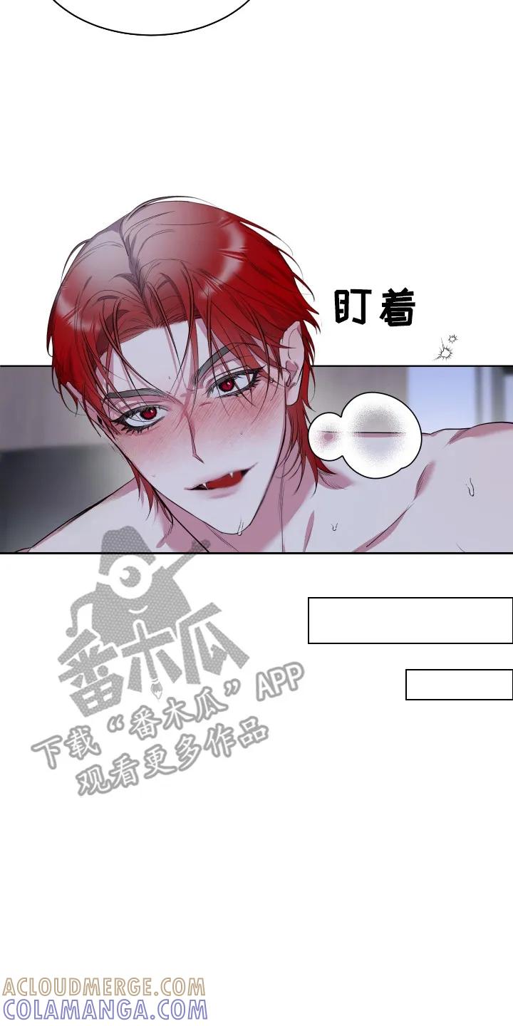 《退还烙印》第2章：搭讪 第17页
