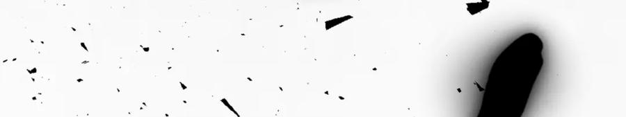 《退婚恶女在旷野生存》第十二话 晚宴 第12页
