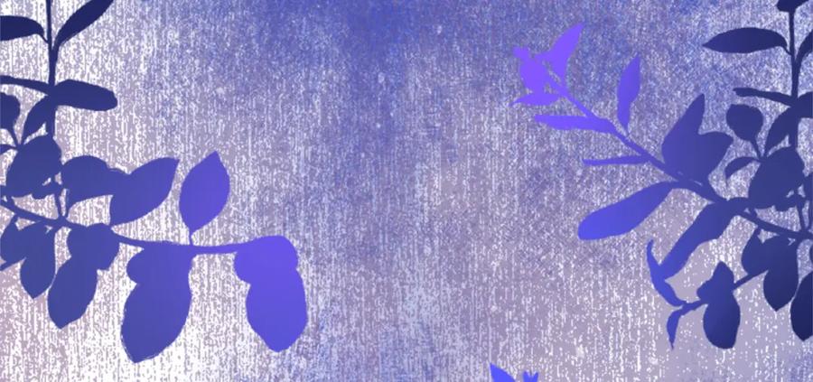 《退婚恶女在旷野生存》第四十五话 道歉 第204页